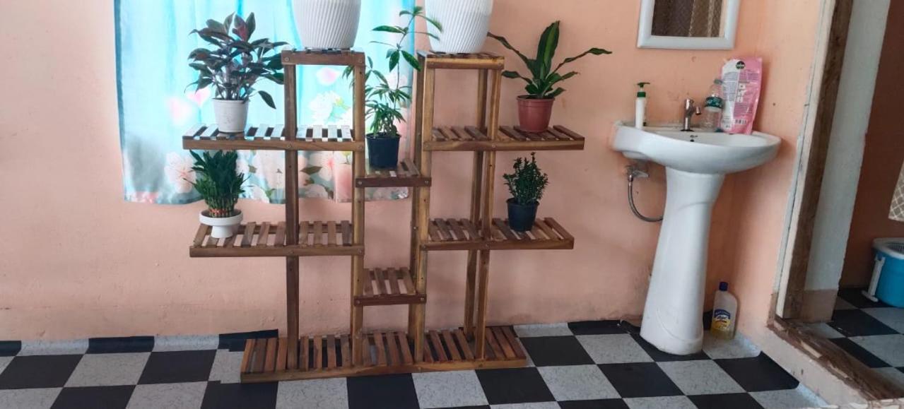 Anna Homestay Dirang Exterior photo